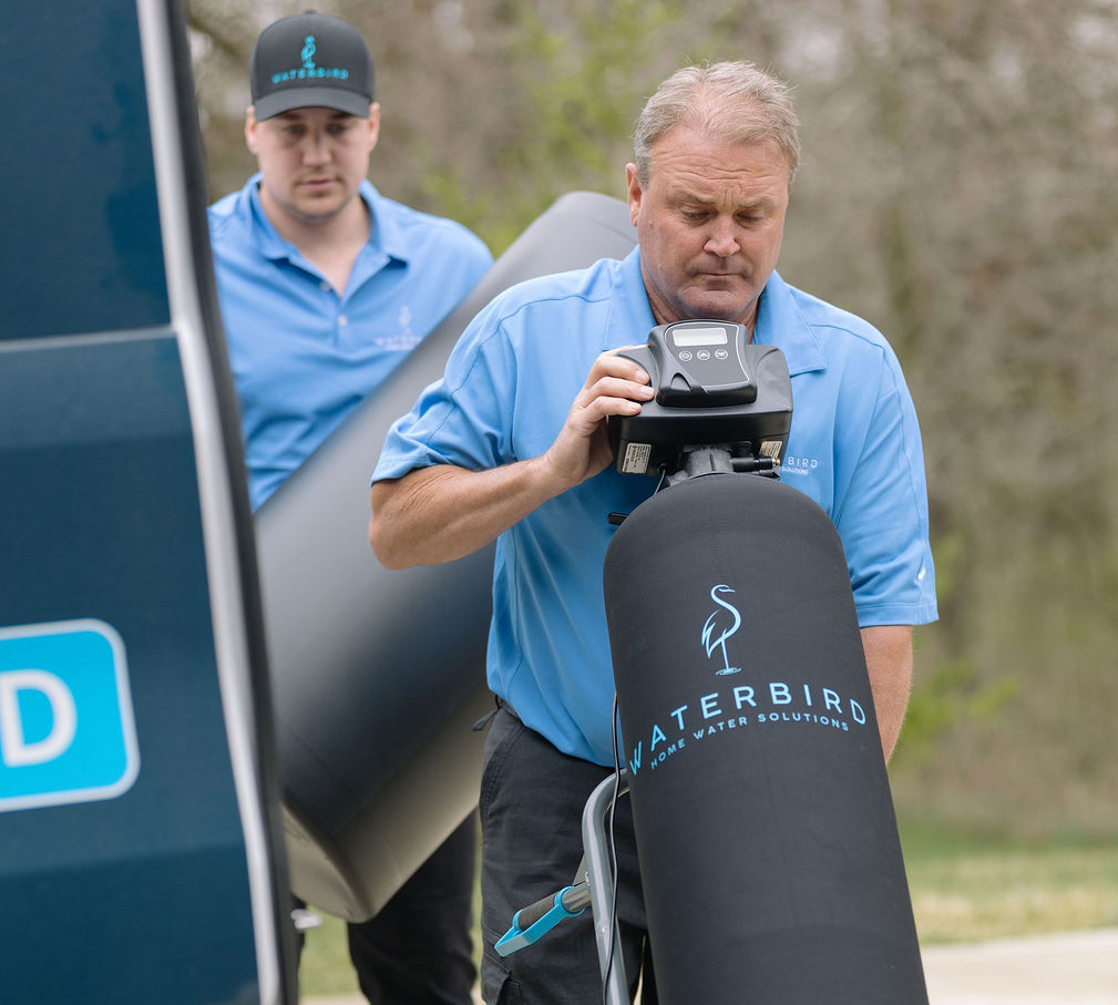 Cory jackson waterbird