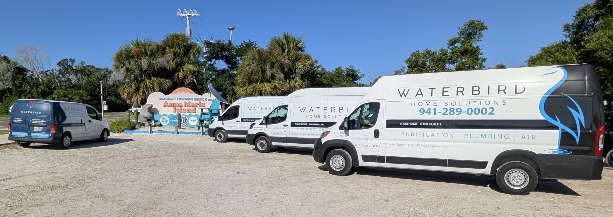 waterbird Anna Maria island